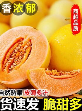 【甘肃直发】头茬鲜果香甜多汁