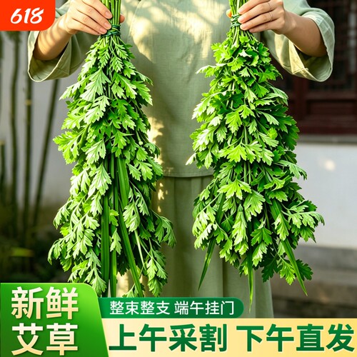 艾草新鲜门挂端午节整颗艾草花束