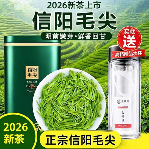 信阳毛尖2026新茶叶雨前特级嫩芽浓香型绿茶散装一斤好喝礼盒罐装
