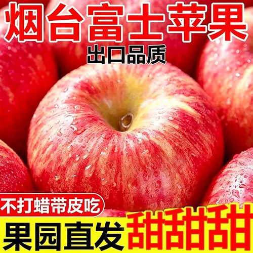 烟台红富士苹果中大果新鲜应季山东苹果脆甜冰糖心丑苹果包邮