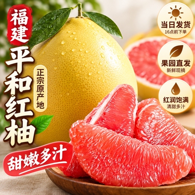 福建红心柚子产地直发蜜柚