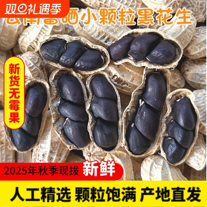 云南黑皮花生黑花生黑带壳花生富硒2025年普洱特产米水果花生
