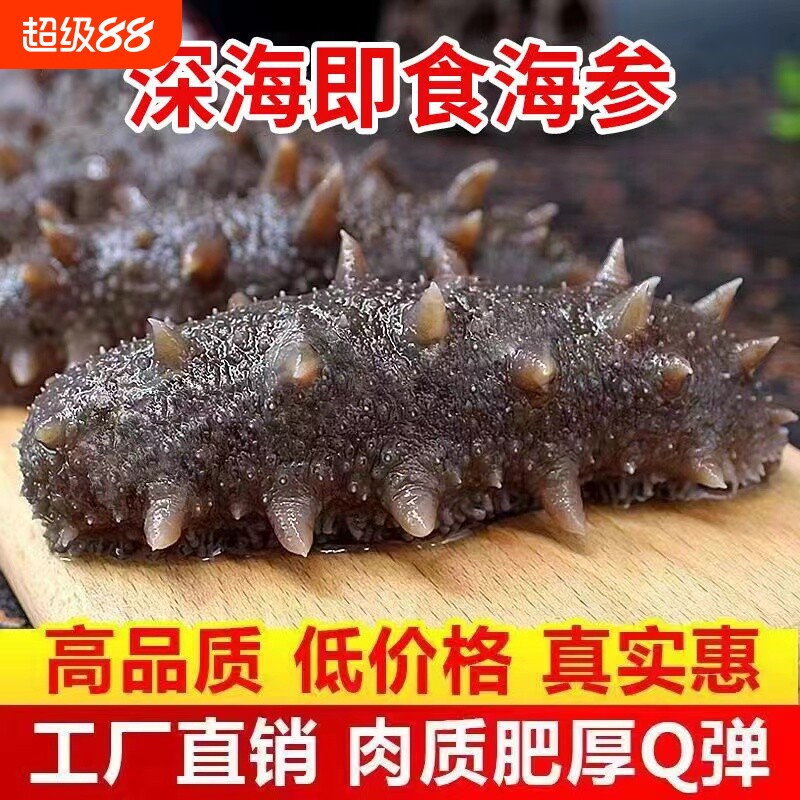 海参即食大连鲜活冷冻辽参海生叁刺参礼盒500g真空包装年货水产