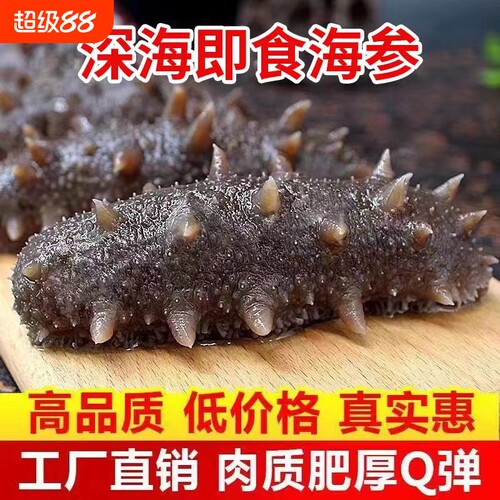 海参即食大连鲜活冷冻辽参海生叁刺参礼盒500g真空包装年货水产