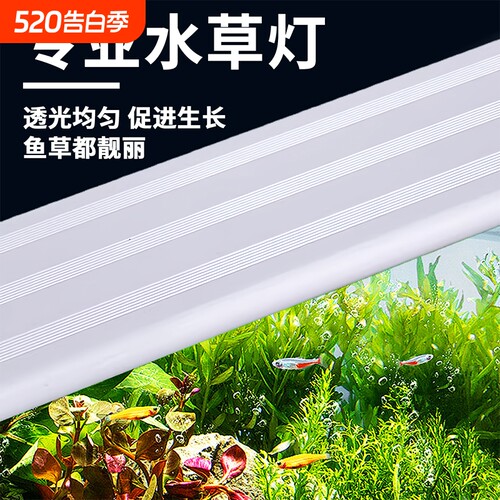 【附近1W+】LED专业照明水草灯
