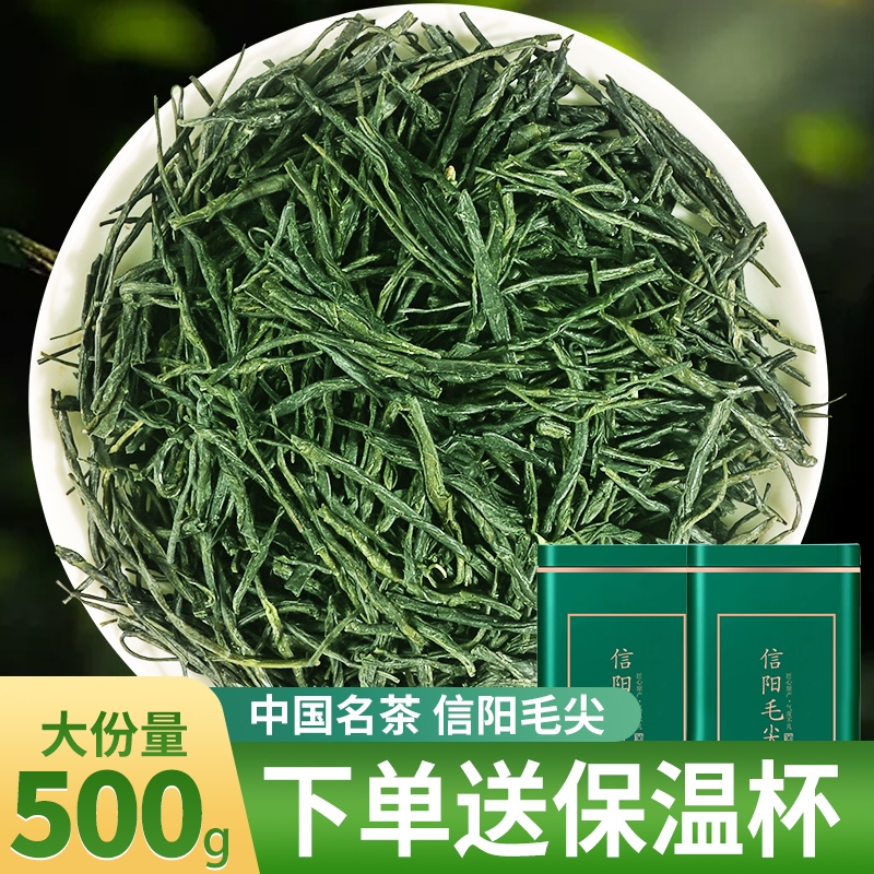 信阳新茶毛尖2025新茶正宗明前浓香型高山嫩芽茶叶罐装绿茶/500克