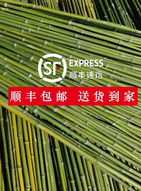 竹竿小竹杆菜园搭架子篱笆栅栏菜旗杆阳台植物豆角黄瓜爬藤花架