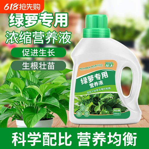 绿萝专用营养液家用阳台盆栽肥料