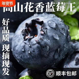 云南蓝莓新鲜水果当季蓝梅鲜果现摘高山怡颗孕妇大果整箱包邮优选