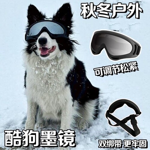 陨石边牧狗狗护目镜防风防刮头饰墨镜中大型太阳镜宠物可调节眼镜