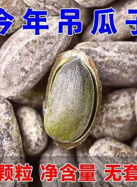 易颖吊瓜子安庆吊瓜子