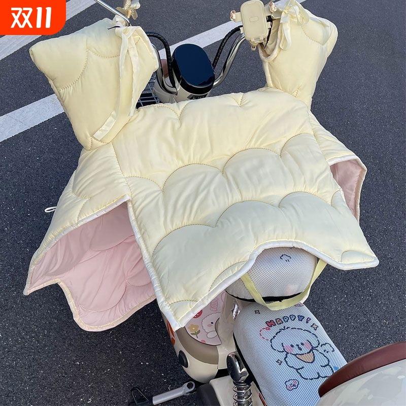 全网热销100W+多巴胺挡风被