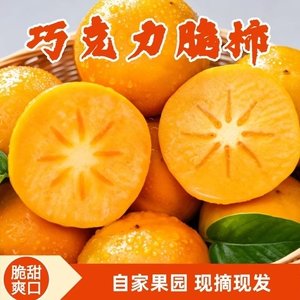 5斤！【已验货】山西巧克力脆柿