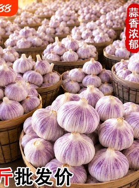 金乡干蒜批发9斤|超8000次加购