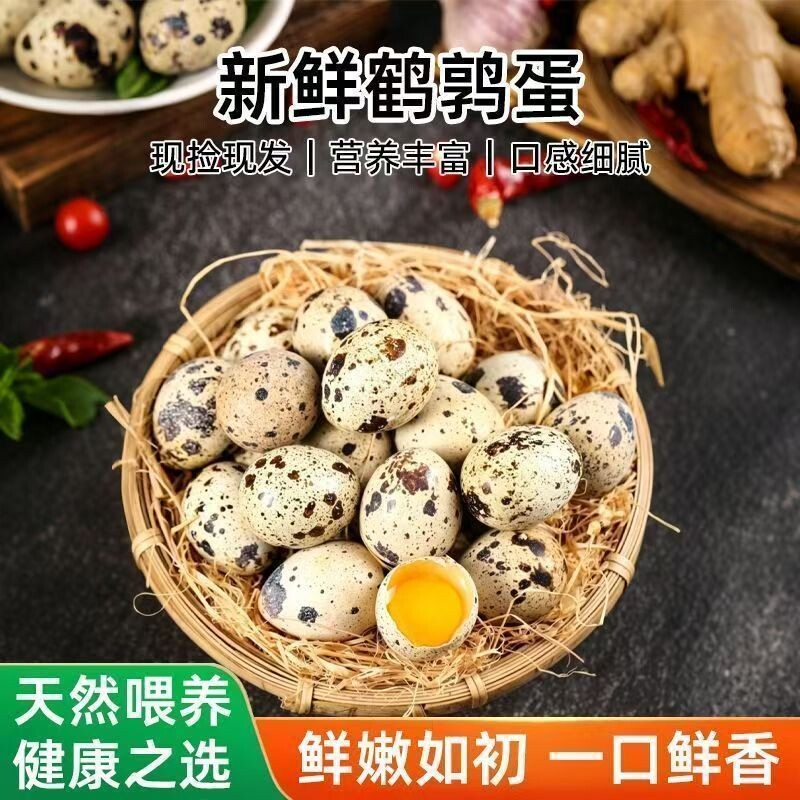 农家杂粮喂养新鲜生鹌鹑蛋多种吃法口感细腻整箱发货批发包邮农场