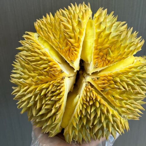 泰国进口老树金枕榴莲A果当季新鲜水果带壳软糯顺丰包邮树熟精选