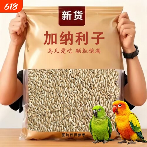鹦鹉鸟食饲料加纳利子白尖粟