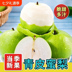 酥脆砀山青梨10斤|千人回购