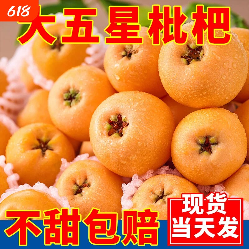 四川高山枇杷新鲜水果当季本地五星枇杷水果现摘孕妇3斤彩箱装