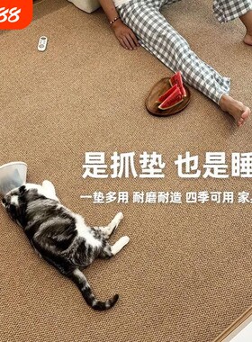 猫爪大号四季通用客厅卧室地毯