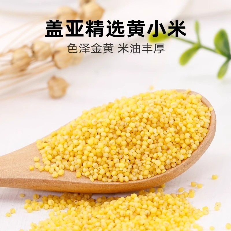 盖亚农场东北小米500g农家米油熬粥养胃香糯五谷杂粮一斤黄米粗粮