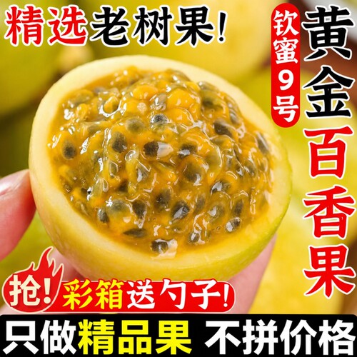 广西钦蜜9号黄金百香果新鲜水果当季整箱百香果包邮大原海果南浆