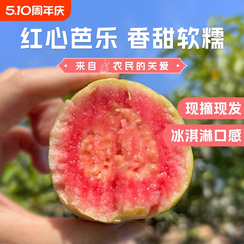 广西软糯红心芭乐应季水果新鲜包邮番石榴奶油脆甜胭脂双拼生鲜