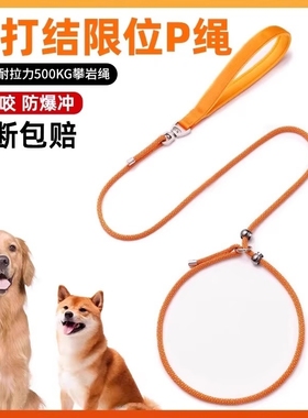 专业训犬防爆冲p绳小中大型犬金毛p链遛狗绳绳狗狗牵引绳防咬训练