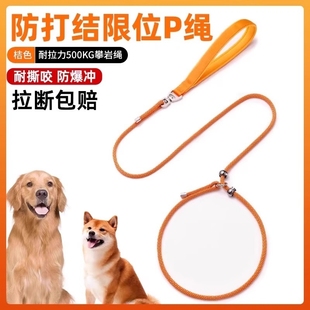专业训犬防爆冲p绳小中大型犬金毛p链遛狗绳绳狗狗牵引绳防咬训练