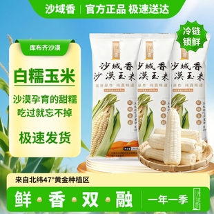 沙域香沙漠玉米内蒙古特产速冻全程冷链保鲜玉米甜糯玉米260g每根