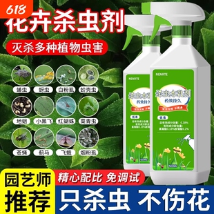 花卉杀虫剂植物室内小黑飞蚜虫蚧壳虫多肉月季绿植专用蜘蛛杀虫药
