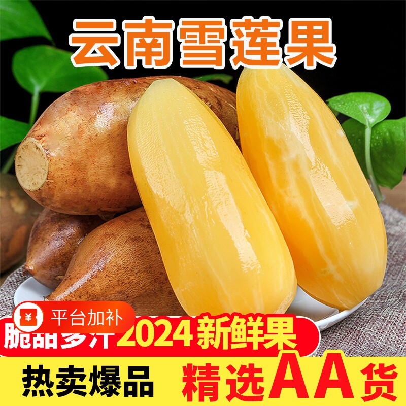 云南雪莲果新鲜水果当季整箱雪莲果水果一级雪莲果新鲜雪莲果水果
