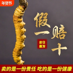 【假一赔十】冬虫夏草新鲜虫草正品冬虫草冬春夏草礼盒装1克4-6根
