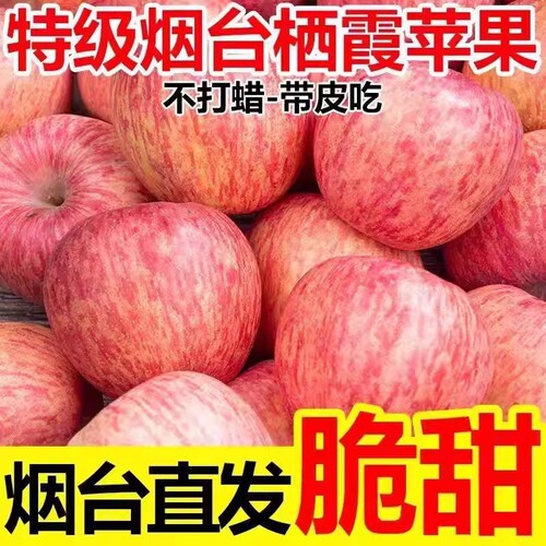 正宗烟台红富士苹果新鲜水果