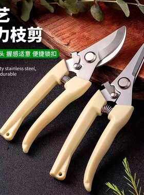 修枝剪园艺盆栽果树枝剪子家用花枝剪刀花店修剪花卉枝条剪果神器