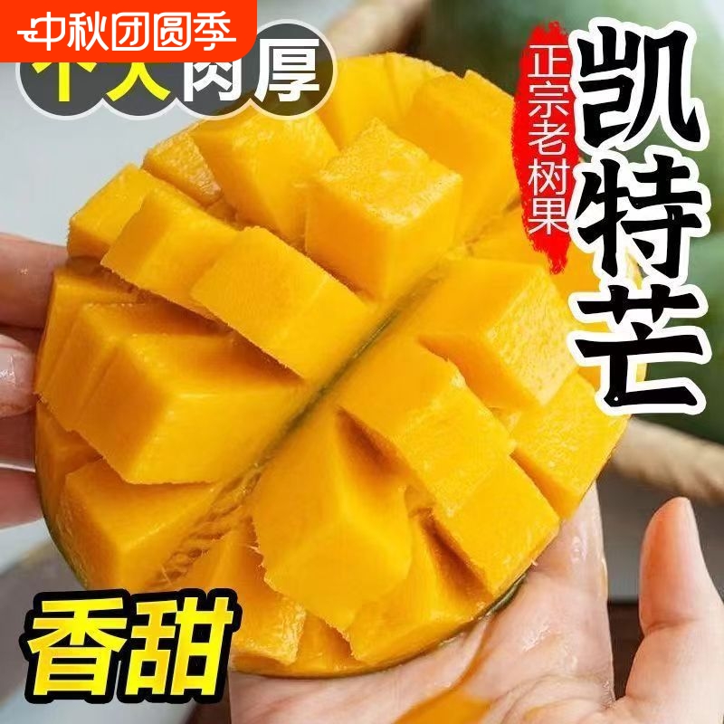 正宗攀枝花芒果凯特四川新鲜水果现发超甜当季应季大青芒整箱产地