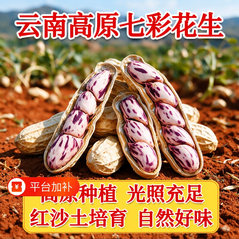 云南七彩花生新鲜带壳原味炒熟新货果仁健康特色野生大粒晒干保存