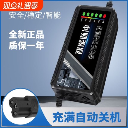 电动车电瓶充电器48v12ah60v20a72v适用于爱玛雅迪三轮铅酸石墨烯