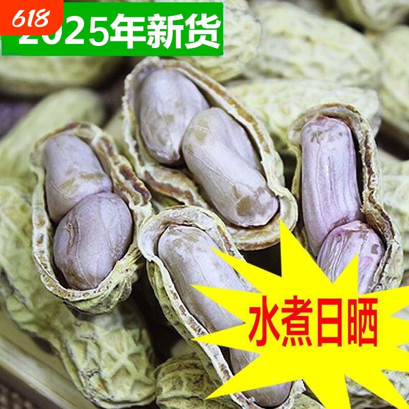 水煮花生咸干龙岩带壳晒坚果原味蒜香湿烤小零食五香健康不上火