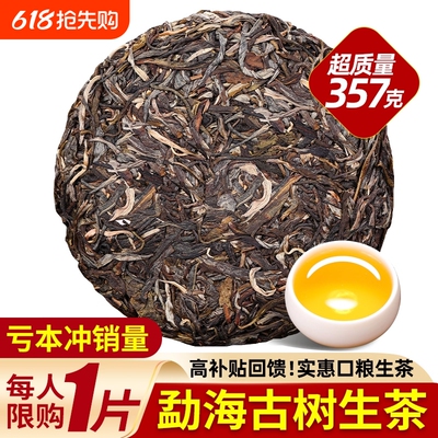 勐海古树普洱茶生茶七子饼口粮茶