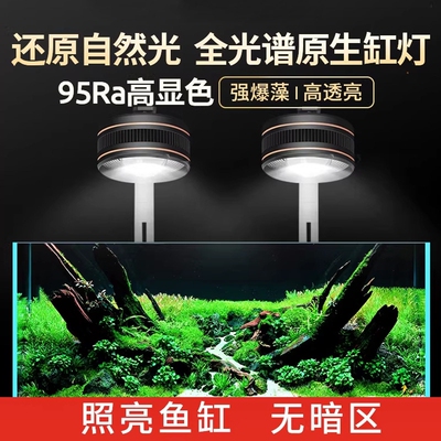 森森鱼缸灯LED全光谱爆藻灯筒灯专用灯照明专业原生溪流缸水草灯