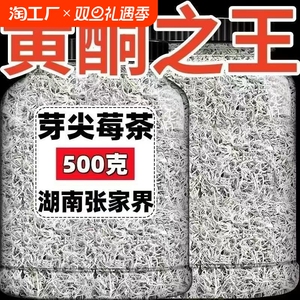 莓茶张家界野生特级芽尖霉茶正宗龙须藤茶湖南恩施永顺养生茶作用