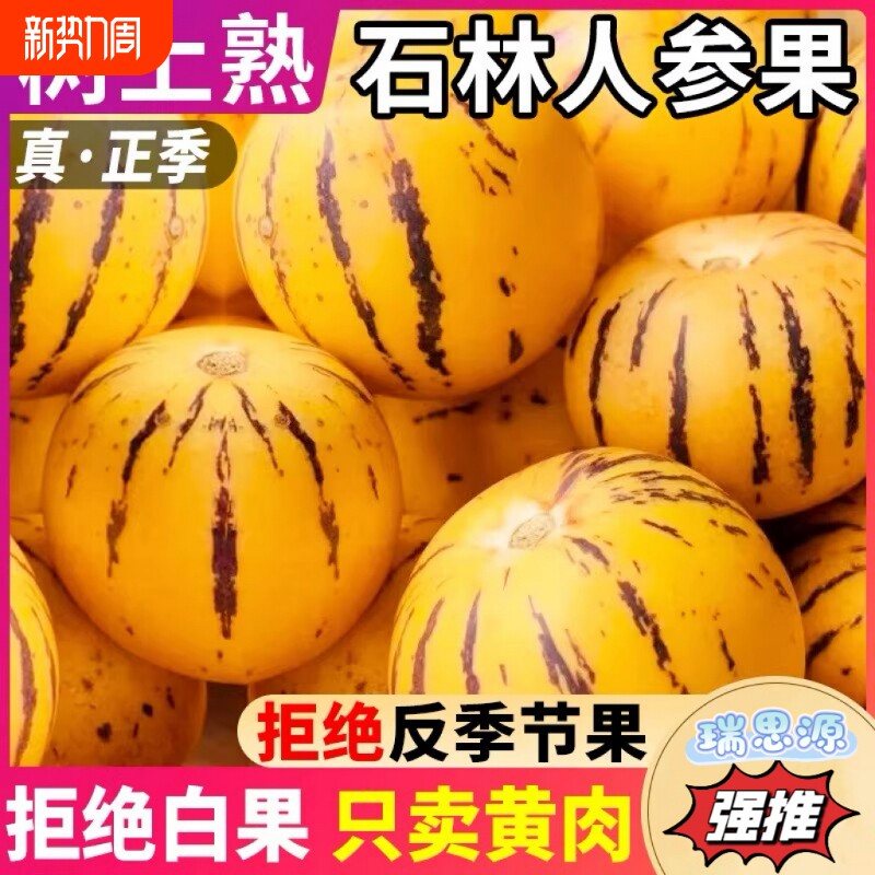 云南石林人参果黄肉圆果应季新鲜水果现摘树上熟低糖孕妇水果净果