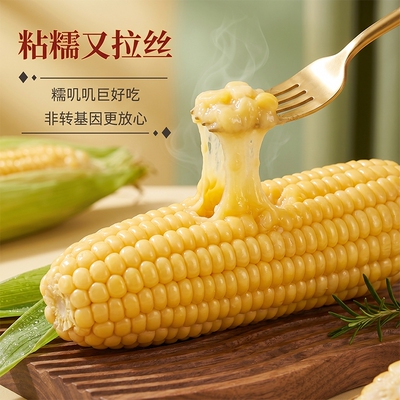 陕西米东北现摘新鲜糯黄玉米真空装包装袋早餐代餐甜糯玉米