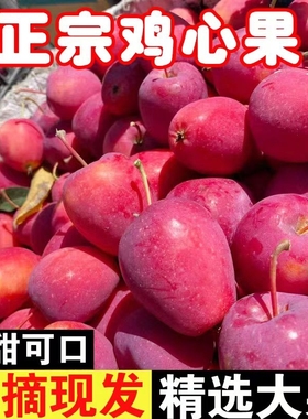 圣诞正宗东北鸡心果当季新鲜现采摘海棠果酸甜脆口小苹果甜脆沙果
