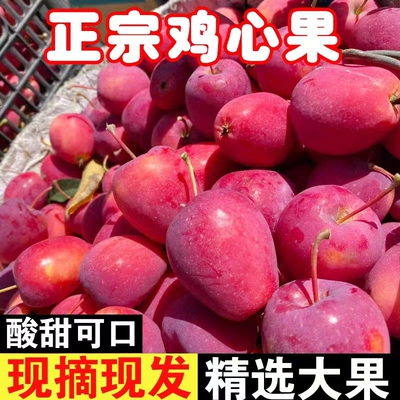 【包邮到家】甜脆爽口果香浓郁