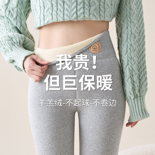 棉毛裤 羊羔绒打底裤 东北特厚内穿秋裤 加绒加厚保暖裤 女外穿秋冬款