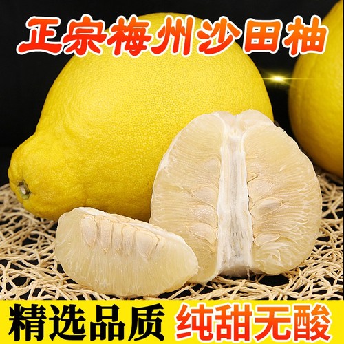 正宗梅州沙田柚精选品质
