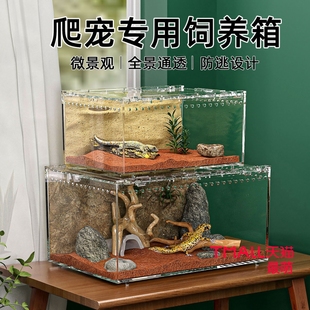 爬宠饲养箱亚克力守宫蜥蜴乌龟蛇饲养箱爬虫饲养盒角蛙蜘蛛生态缸