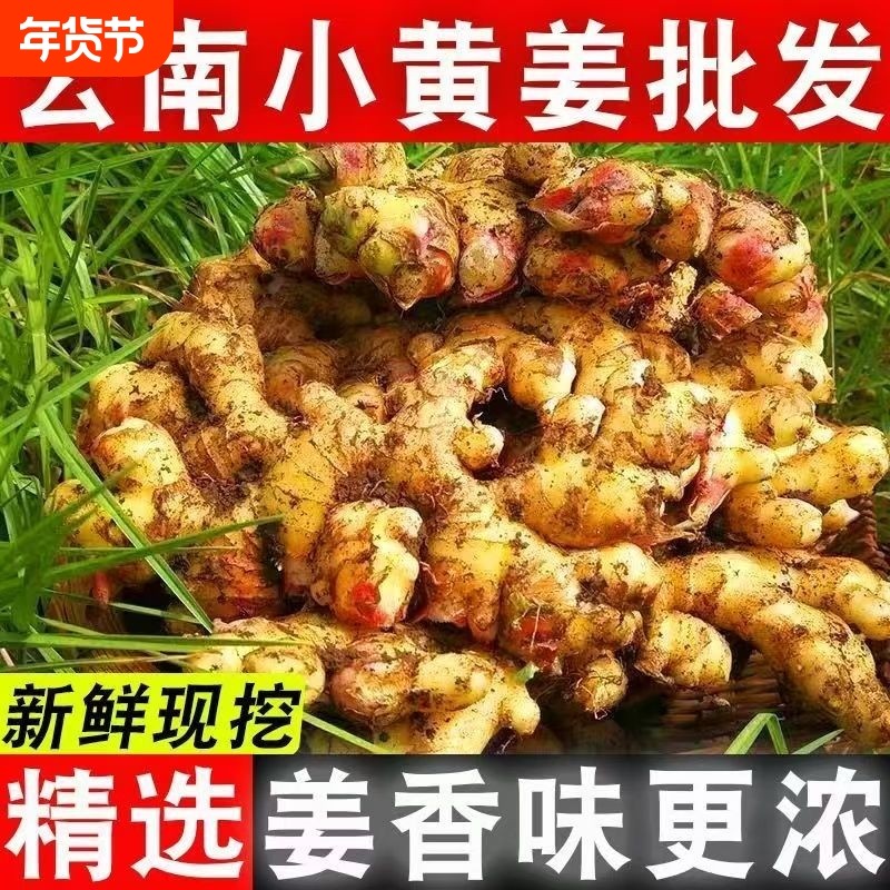 批发价云南生姜小黄姜新鲜嫩姜老姜特级大块姜土姜月子姜蔬菜,水产肉类/新鲜蔬果/熟食,生姜/南姜,淘宝优惠券,粉丝福利购,淘宝优惠卷